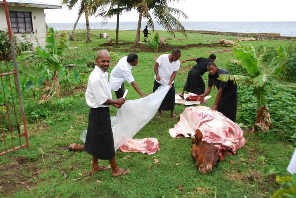 cow being slaughtered for funeral guests