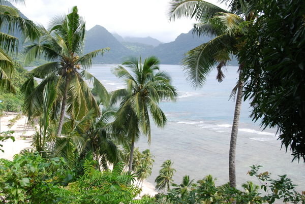 Samoan harbor