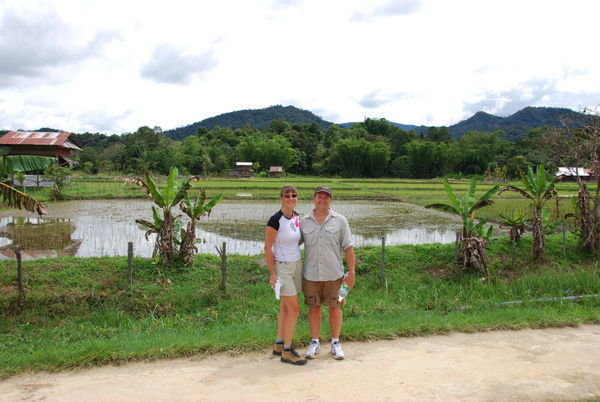 Bario rice paddies
