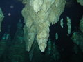 underwater stalactites