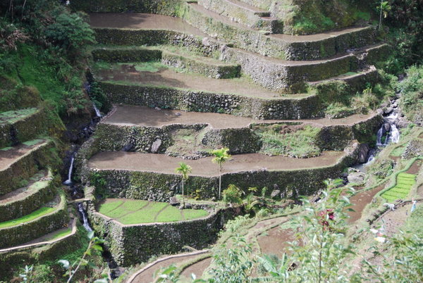 Close up of stone rice terraces