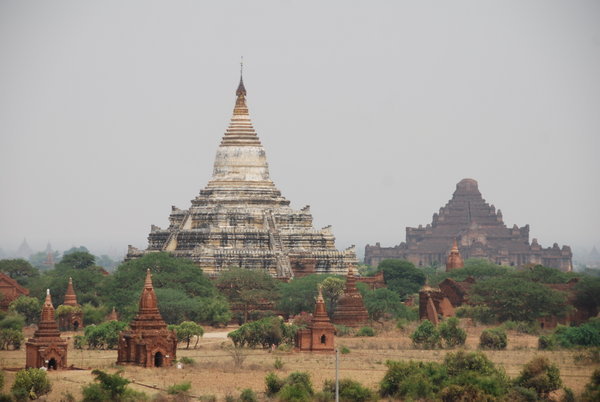 Some of the many Bagan temples