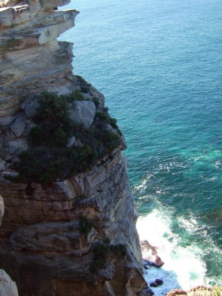 Old South Head