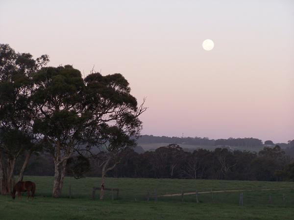 SUNSET IN THE ADELAIDE HILLS