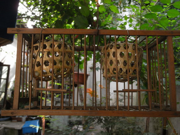 Lao Wang's cricket cage