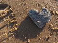 heart shaped stones