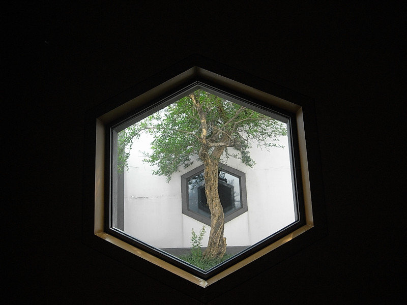 the windows in Suzhou museum are beautiful
