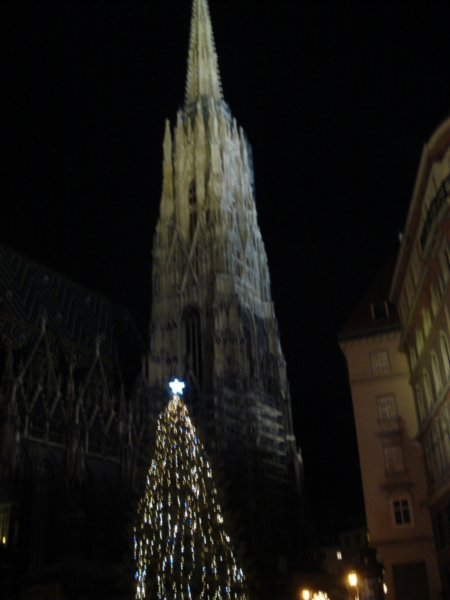 Christmas at Cathedral