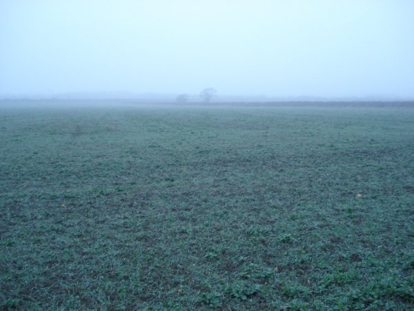 The field where the plane crashed