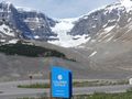Champ de glace Columbia, parc national de Jasper