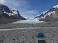 Champ de glace Columbia, parc national de Jasper