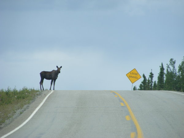 Taylor highway, Alaska