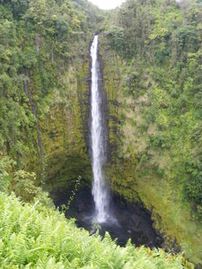 Akaka falls, Honomu, Big Island