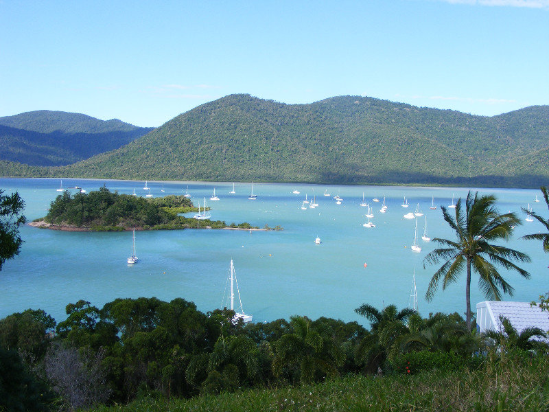 Shute harbour