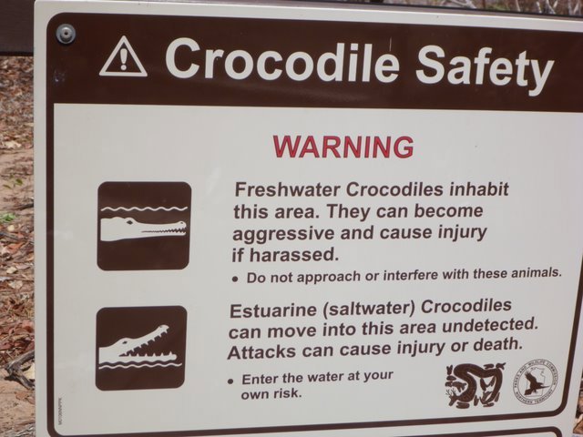 Krokodillen!!!!