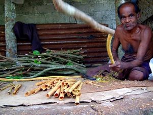 Locale man is kaneel stokjes aan het snijden