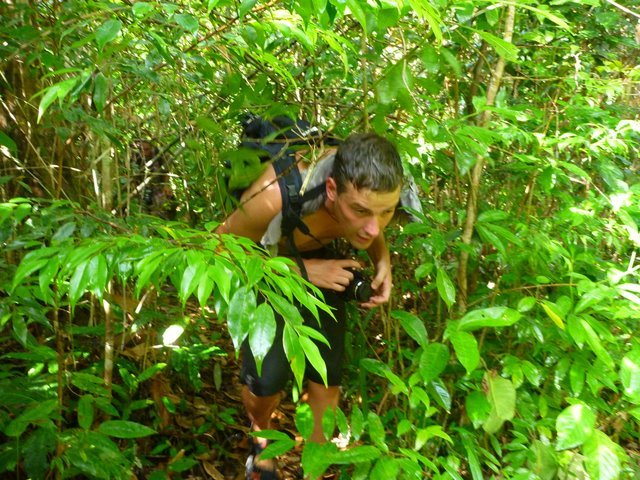 Bear Grylls in een van zijn jungle tochten