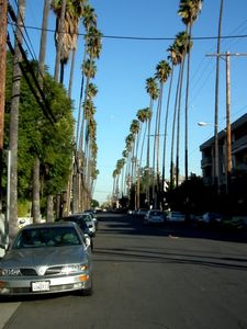 Mooie straat in Hollywood