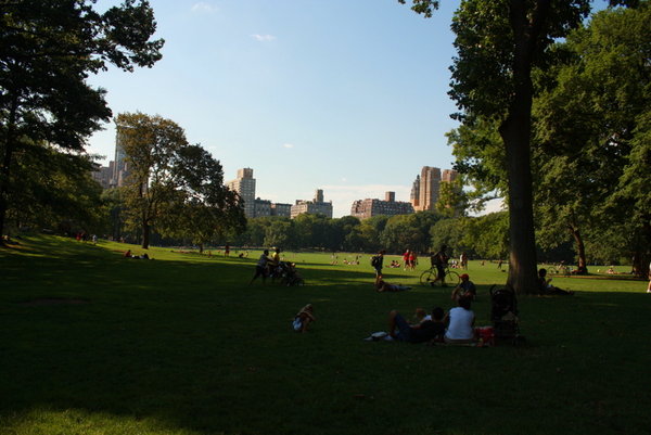 Hoge gebouwen vanuit Central Park