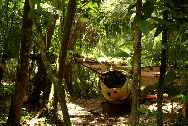 Neergestort vliegtuig in de jungle