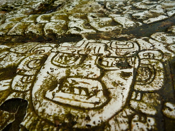 Maya steen