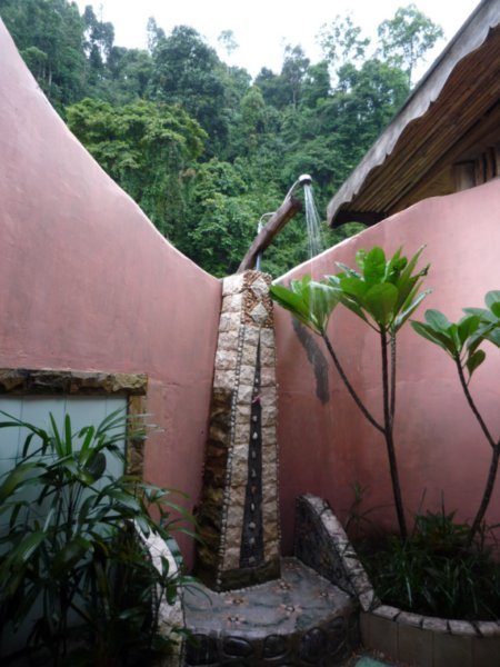 Shower in the Jungle