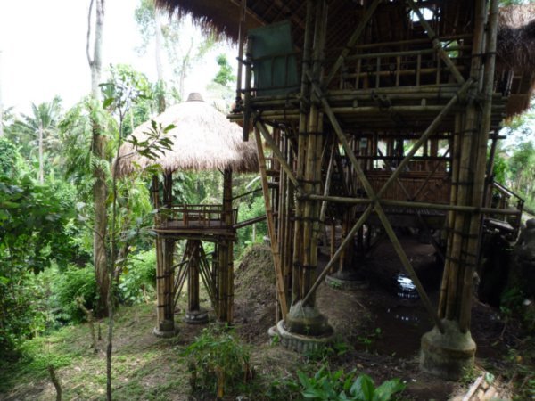 Bamboo Hut