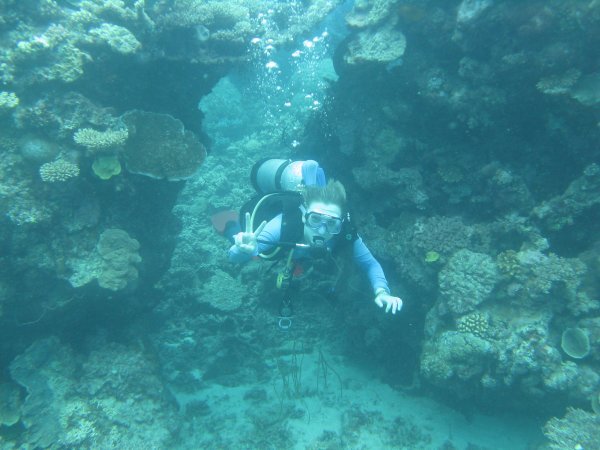 Diving at the Gt Barrier Reef