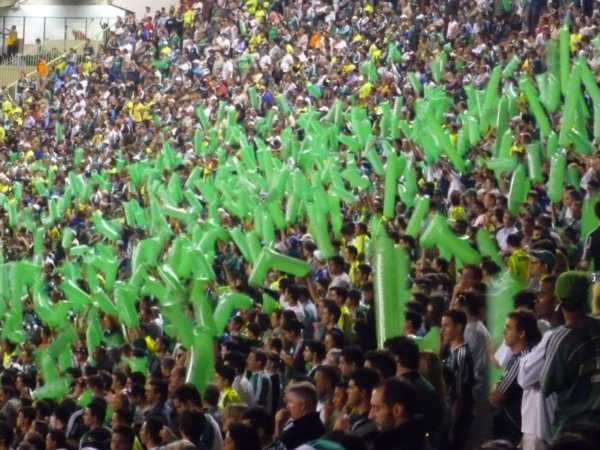 Palmeiras fans
