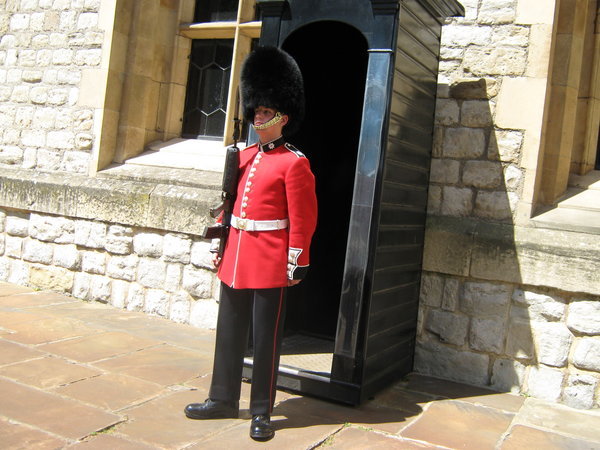 A guard at the Tower