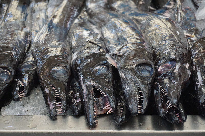 Mercado dos Lavradores - black scabbardfish (Espada)