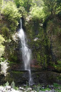 Levada Nova and Levada do Moinho: waterfall and rich vegetation