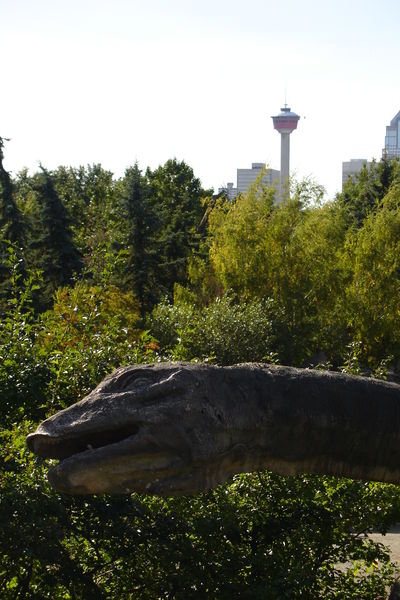 Saurier vor dem Calgary Tower :D