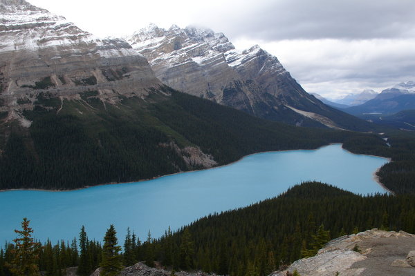 Lake Peyto