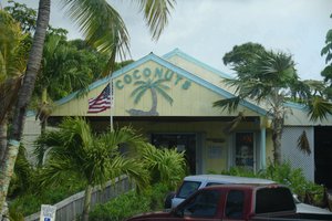 Coconuts-Haus