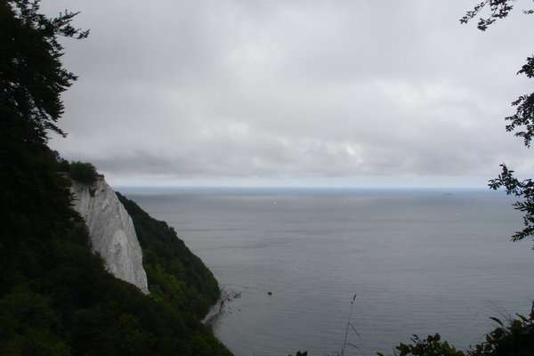 The "Koenigsstuhl" (Chalk cliff)
