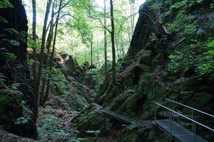 Little gorge close to Rabenauer Grund