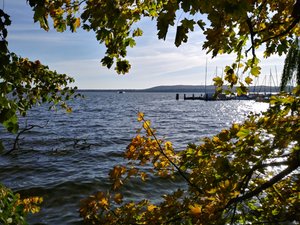 Müggelsee in late October, II