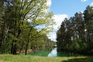 Green pond close to Kromlau