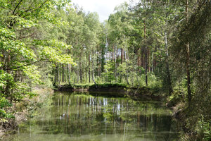 Mirroring pond close to Kromlau