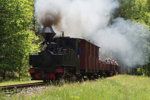 Forest Railway (Waldeisenbahn) between Kromlau and Weißwasser