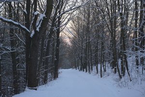 Winter in Freital, 1
