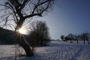 Winter in Freital, 2