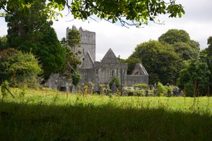 Bike trip in Killarney: Muckrose Abbey