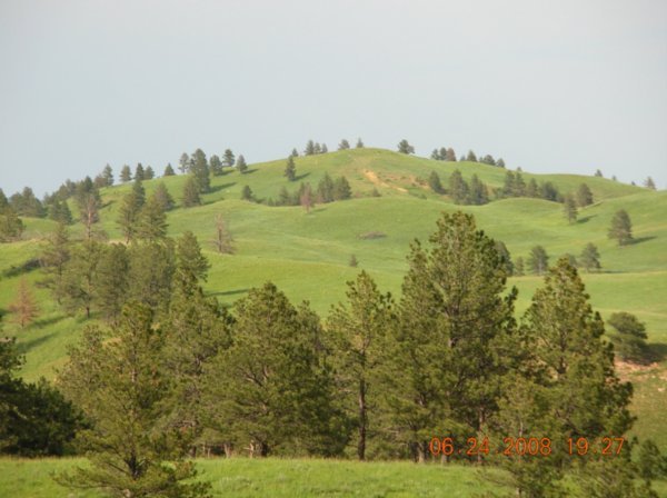 Alpine Meadow Hilltop