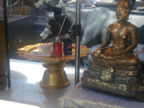 offering coke to buddha