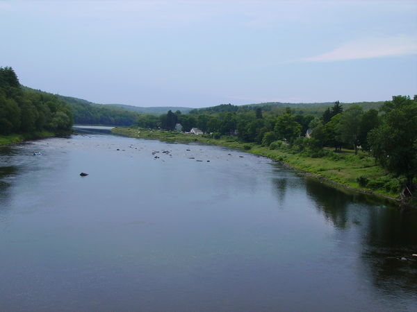 View of the river from the Bridge