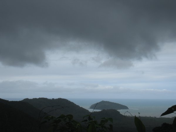 On the way to Cape Tribulation