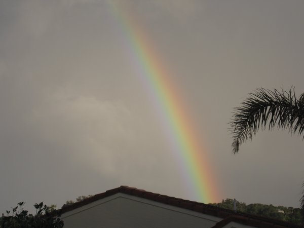 Rainbow on Waiheke