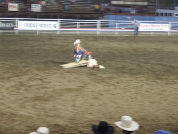 More Rodeo